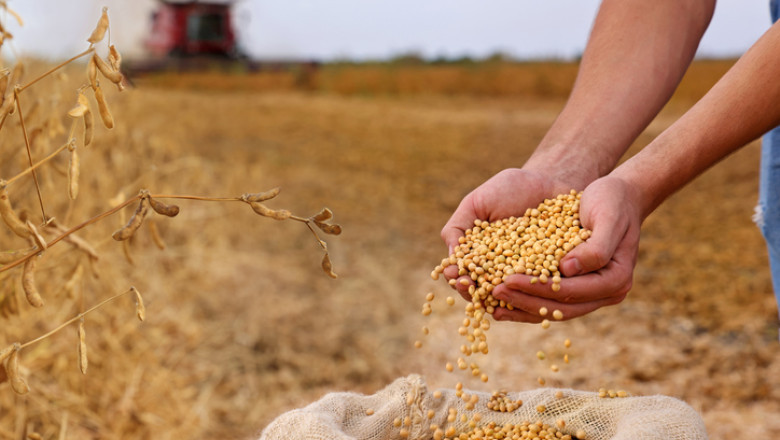 Disputa dintre Donald Trump si China privind soia lasa fermierii americani cu recolte uriase si putini cumparatori Imagine