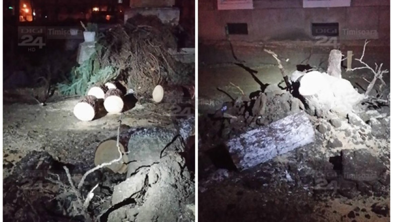 Distrugeri provocate de vant in Piata Libertatii din Timisoara Imagine