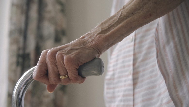 DNA: Inspectorii au dat punctaj maxim azilului condus de Godei si l-au anuntat inainte de control pentru a „cosmetiza” locul Imagine