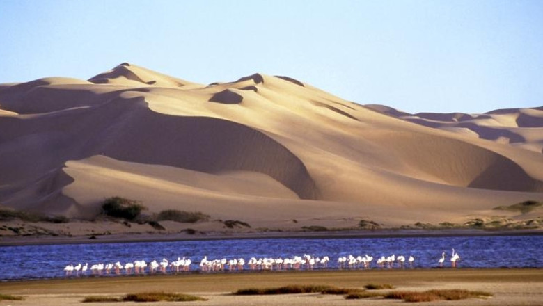 Documentarul „Africa”, in premiera la Muzeul Antipa, in cadrul Noptii Muzeelor Imagine