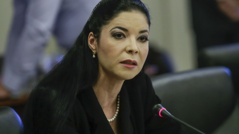 Documentul care o acuza pe Ana Birchall ca ar fi vrut sa colaboreze cu CIA a fost retras. „O tentativa de asasinat politic” Imagine