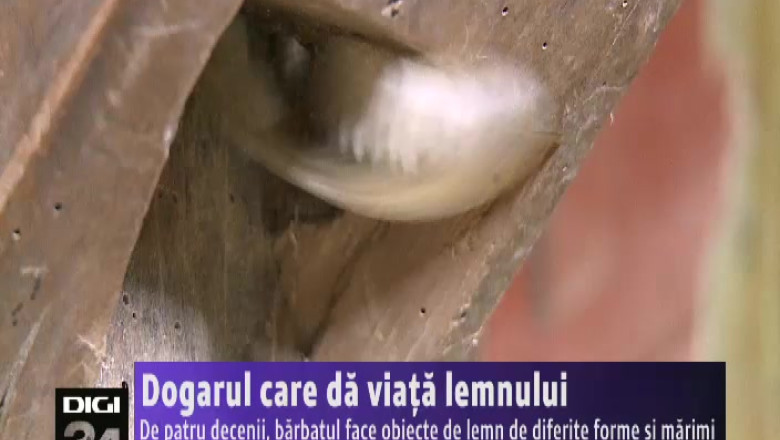 Dogarul care da viata lemnului. De patru decenii, barbatul face obiecte de lemn de diferite forme si marimi  Imagine