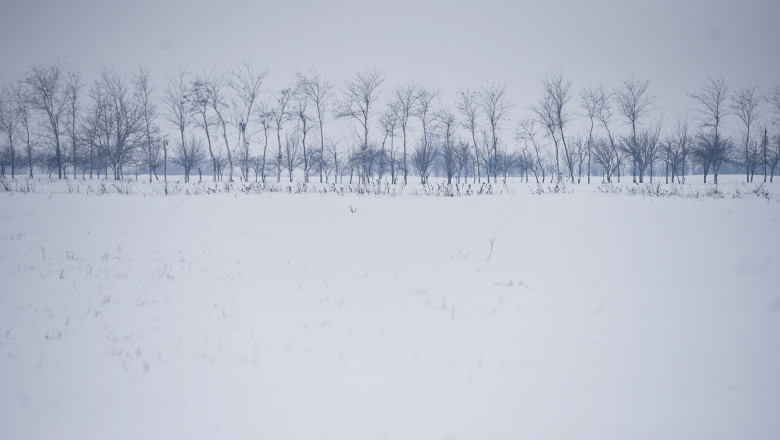 Doi barbati rataciti pe un camp din cauza cetii, gasiti dupa trei ore. STS: Operatorul ISU care a preluat cazul a gresit procedura Imagine