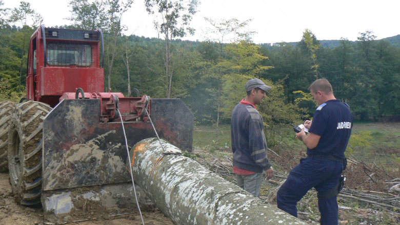 Doi barbati sunt acuzati de jandarmi de furt de arbori Imagine