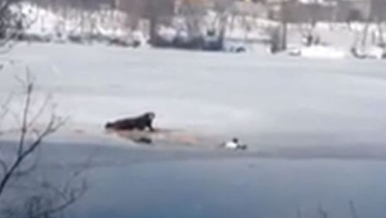 Doi copii care au cazut intr-un lac inghetat au fost salvati de jandarmi Imagine