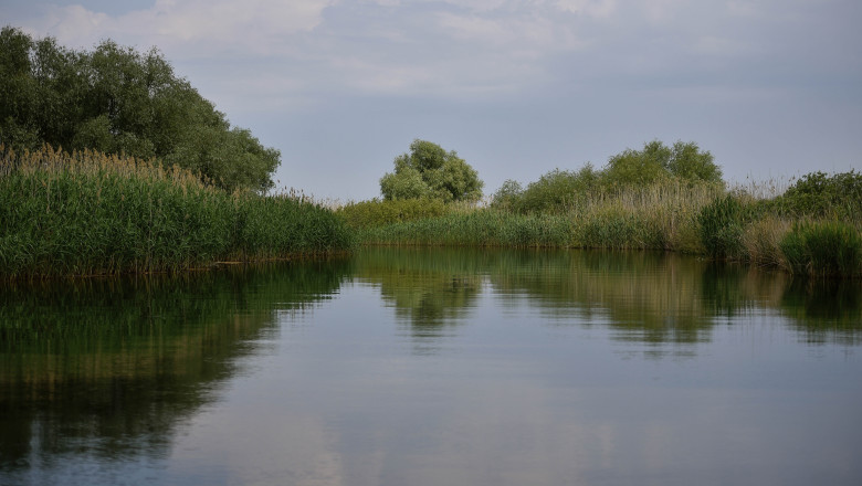 Doi copii, loviti de un ski-jet in apele Dunarii. Barbatul care il conducea consumase alcool, iar politia a dechis o ancheta Imagine