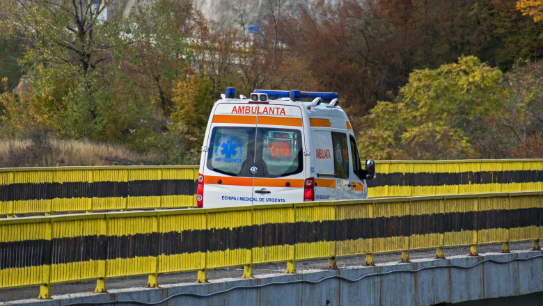 Doi frati, de 28 si 32 de ani, au fost gasiti morti la o stana din Bistrita-Nasaud Imagine