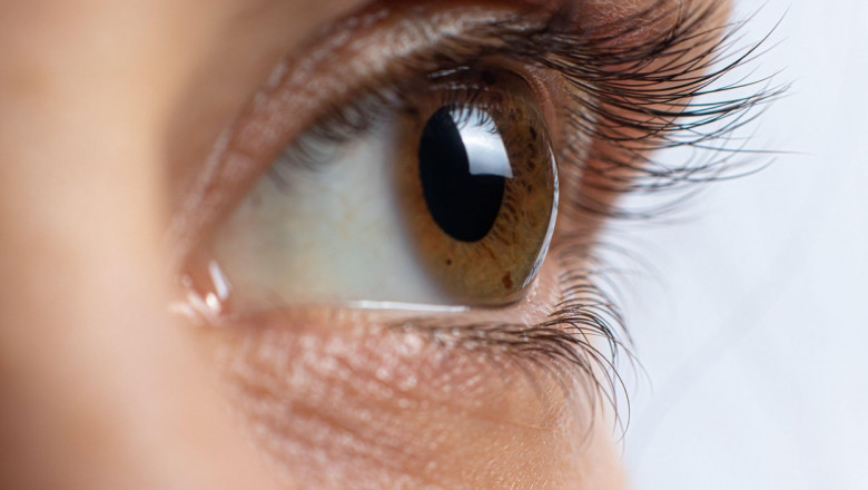 Doi medici din Bucuresti, trimisi in judecata pentru aducerea ilegala din Italia a sute de cornee pentru transplant Imagine