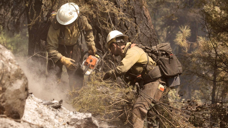 Doi morti si un ranit, in SUA, dupa ce pompierii care interveneau la un incendiu de vegetatie au fost atacati: suspect gasit mort Imagine