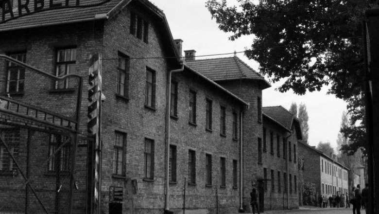 Doi studenti turci au fost arestati pentru ca au imitat salutul nazist la Auschwitz Imagine