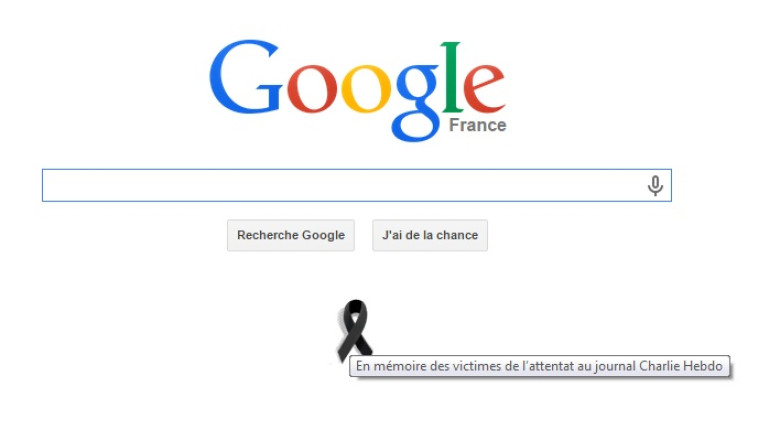 DOLIU in Franta. Google France are un logo special Imagine