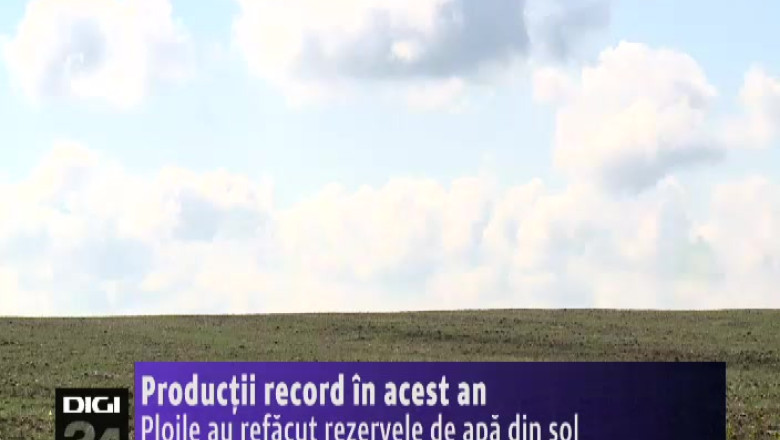 Dolj. Agricultorii asteapta productii record in acest an. Ploile au refacut rezervele de apa din sol Imagine