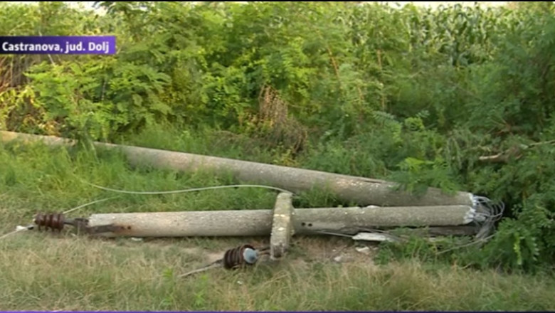 Dorel de Castranova frange stalpi (nu inimi) Imagine