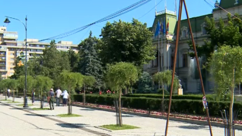 Dosar penal pentru defrisarea teilor Imagine