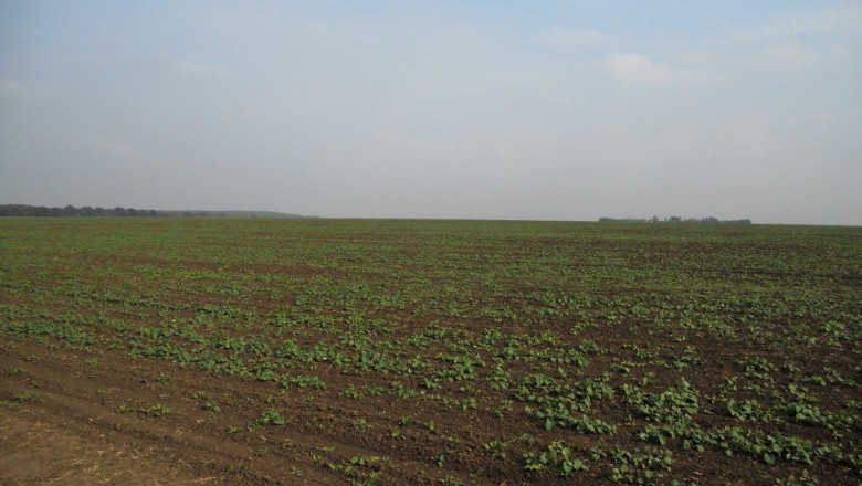 Dosarul terenurilor din Fundulea, la DNA. Guvernul: 2.000 de hectare, trecute ilegal in proprietate privata Imagine