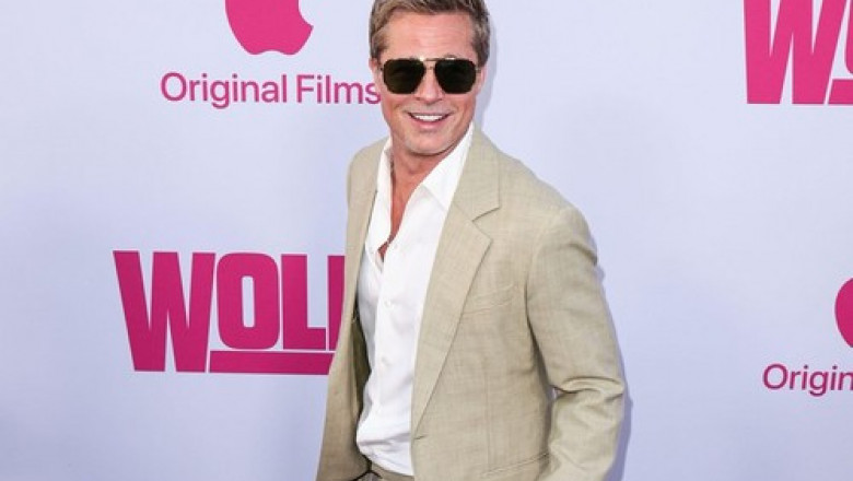 Doua femei au ramas fara 325.000 de euro, dupa ce au crezut ca au o „relatie sentimentala” cu Brad Pitt. 5 persoane arestate in Spania Imagine