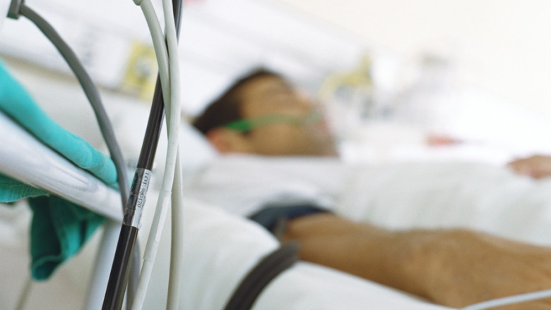 Doua persoane au ajuns la spital, in Iasi, dupa ce au fost muscate de sarpe. Una a ramas internata, avand manifestari neurologice Imagine
