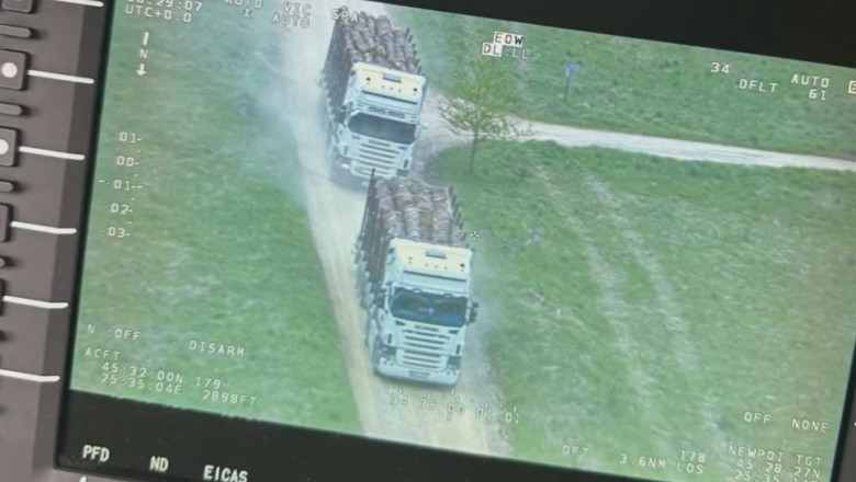 Doua transporturi ilegale de lemne au fost descoperite de politisti din elicopter. Aparatul de zbor supraveghea traficul din Brasov Imagine