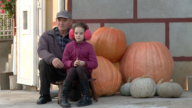 Dovleac urias, de 70 de kilograme, recoltat intr-o gradina din localitatea bihoreana Abramut Imagine