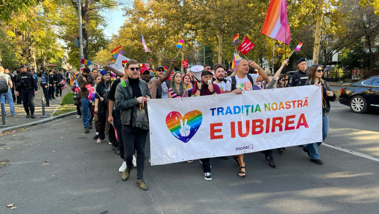 „Drepturi egale, nu discriminare”. Peste 1.000 de reprezentanti LGBTI au cerut Guvernului legalizarea parteneriatului civil Imagine