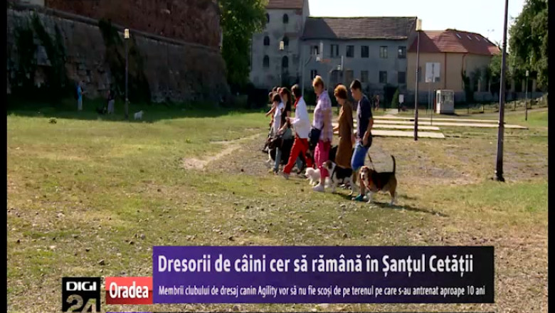 Dresorii de caini cer sa ramana in Santul Cetatii Imagine