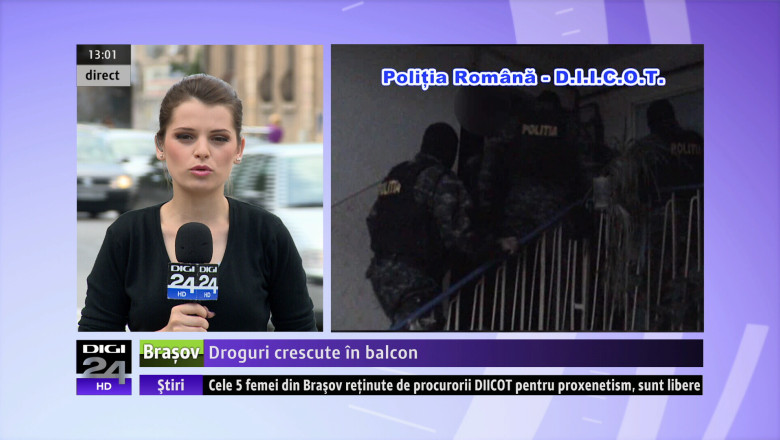 Droguri crescute in balcon Imagine