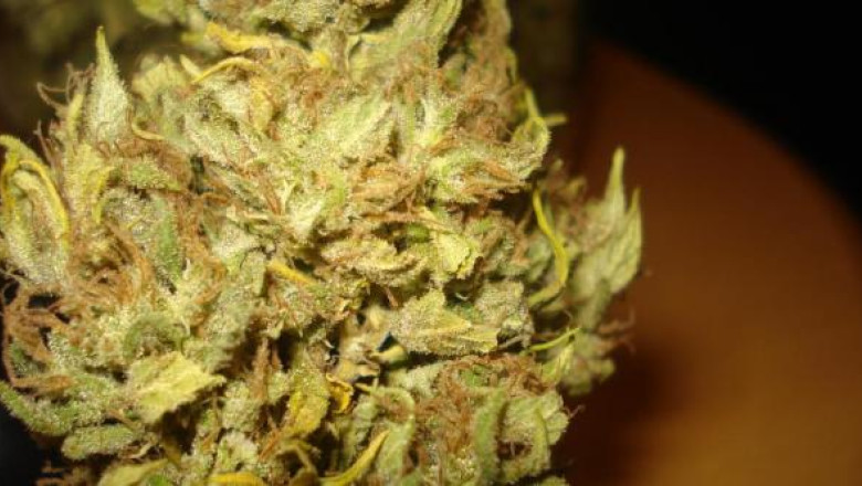 Droguri de peste 15 milioane de euro, confiscate de DIICOT in 2013 Imagine