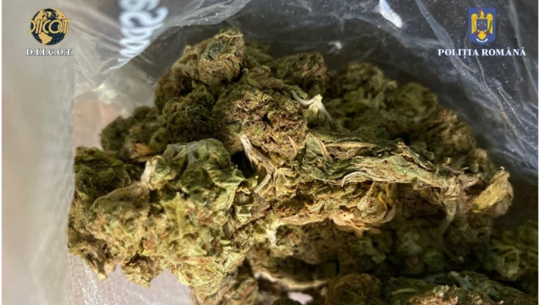 Droguri trimise din Spania prin curier. Doi traficanti, prinsi in flagrant in timp ce vindeau un kilogram de canabis Imagine