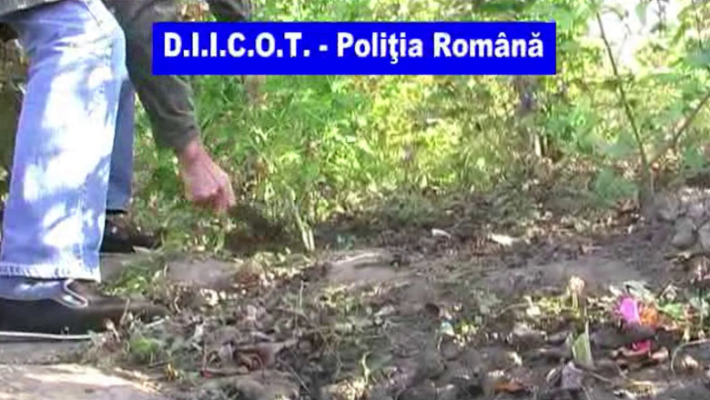 Drogurile din vie Imagine