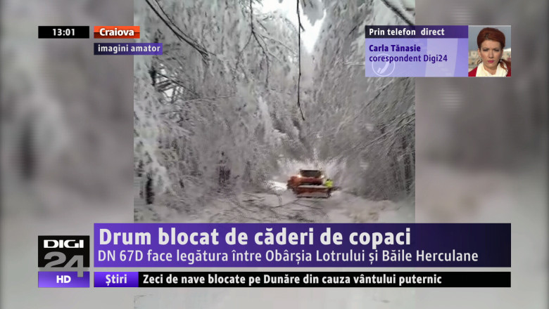 Drum blocat de caderi de copaci. DN 67D face legatura intre Obarsia Lotrului si Baile Herculane Imagine