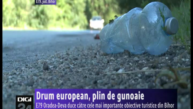 Drumul european E79 Oradea - Deva, plin de gunoaie Imagine