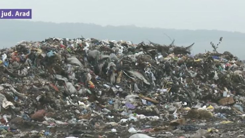 Drumul gunoaielor se gaseste in Arad. Cine le arunca? Imagine