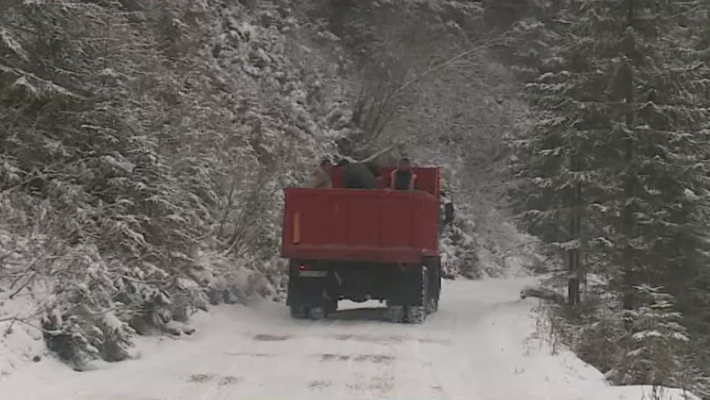 Drumul judetean 107M, blocat Imagine