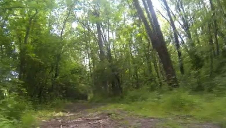 Drumul regelui. Pranz la Slatina Imagine