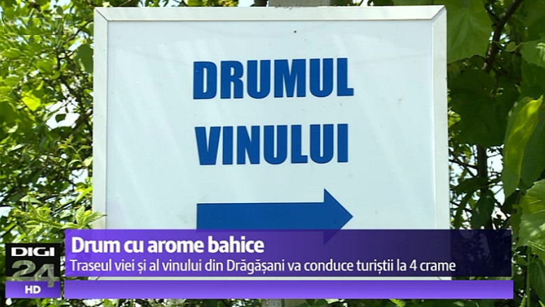Drumul viei si al vinului se pietruieste la Dragasani. O lectie de promovare a zonelor viticole imprumutata de la francezi Imagine