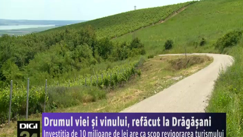 Drumul viei si vinului, refacut la Dragasani. Investitia de 10 milioane de lei are ca scop revigorarea turismului Imagine