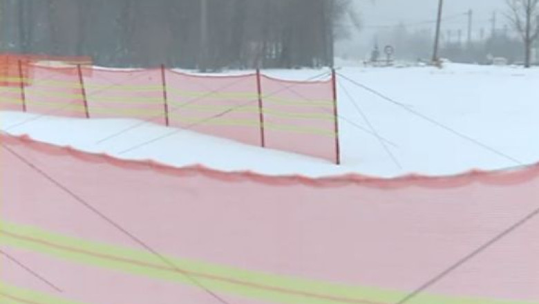 Drumurile din Ungaria, protejate de parazapezi si de perdele de arbori Imagine