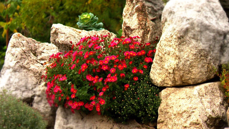 Dumbrava minunata de la Iasi. Gradina Botanica din Iasi este cea mai veche din Romania Imagine