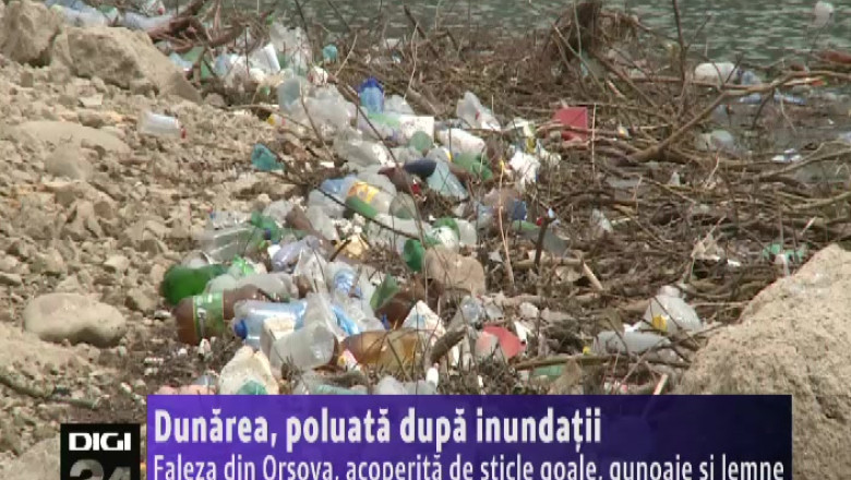 Dunarea, poluata dupa inundatii Imagine