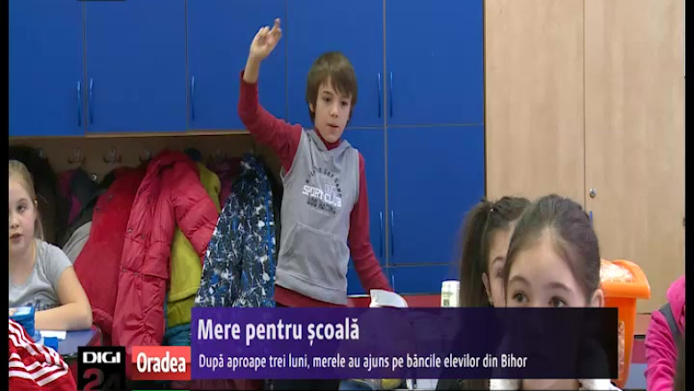 Dupa aproape trei luni de la inceperea anului scolar, merele au ajuns la elevii din Bihor Imagine