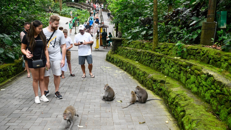 Dupa ce a creat panica interzicand relatiile sexuale in afara casatoriei, Indonezia ii asigura pe turisti ca nu-i va verifica in Bali Imagine