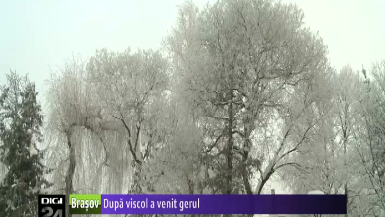 Dupa viscol a venit gerul  Imagine