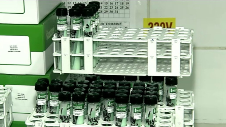 Ebola a speriat Romania timp de cateva ore. Alerta a fost infirmata de autoritatile medicale Imagine