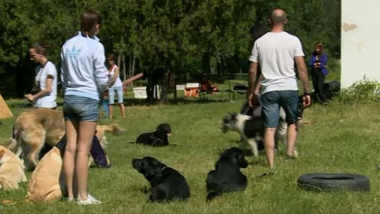 Echipa Nationala a Cainilor de Salvare cauta sponsori pentru a participa la competitia mondiala din Italia Imagine