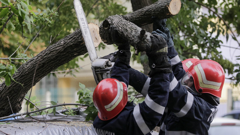 Echipe ale ISU Bucuresti au avut 30 de interventii dupa furtuna din Capitala: Arbori si stalpi doborati, curti inundate Imagine