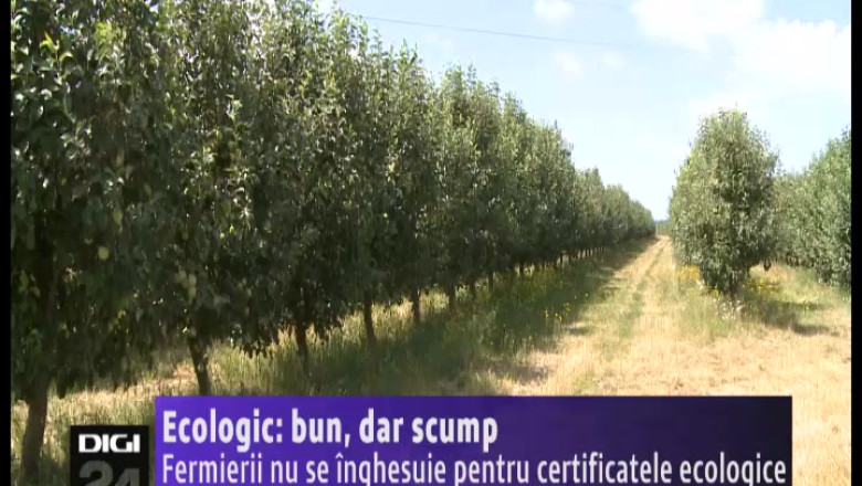 Ecologic: bun, dar scump. Fermierii nu se inghesuie pentru certificatele ecologice Imagine