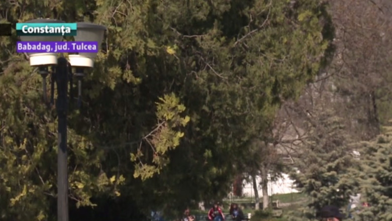 Edilii cumpara energie de la Bursa. Doi primari din Tulcea vor sa faca economii la bugetul local Imagine