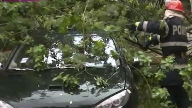 Efectele codului galben de ploi si inundatii, la Timisoara Imagine