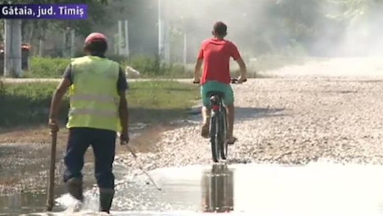 Efectele „intepatoare" ale inundatiilor. Oamenii din Gataia se confrunta cu o invazie de tantari Imagine