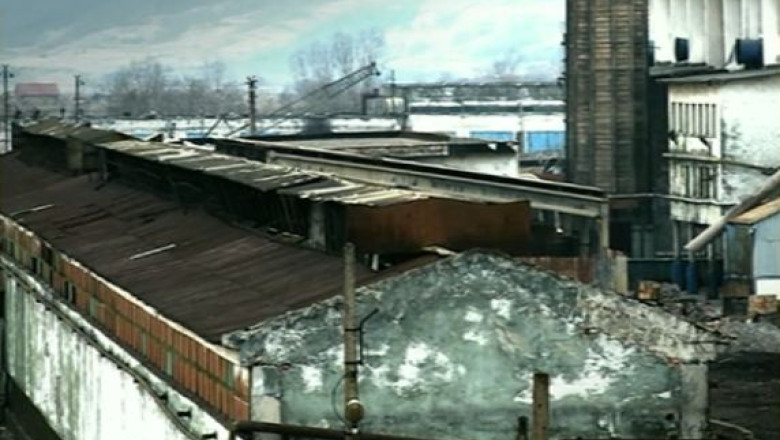 Efectele poluarii de la Copsa Mica: speranta de viata scazuta cu 9 ani si pamant infertil Imagine